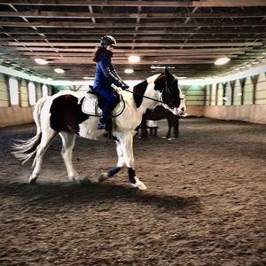 Meet your Posher, Hannah